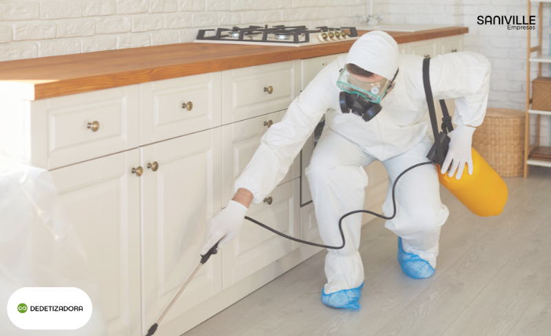Controle de Pragas em Empresas: Evite Multas e Riscos à Saúde