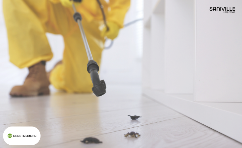 Dedetização: Proteção e Segurança Contra Pragas